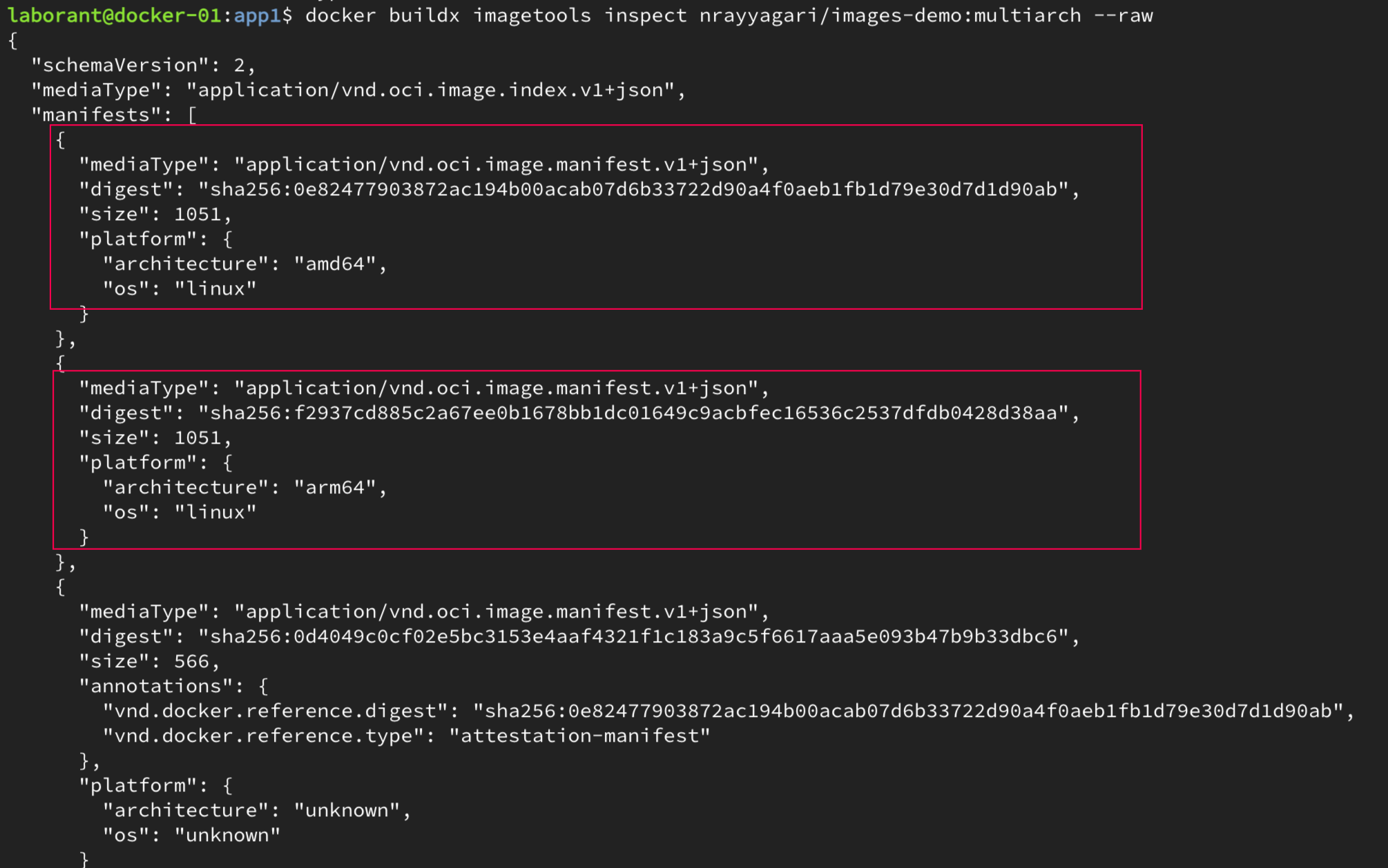 Manifest Inspection Output